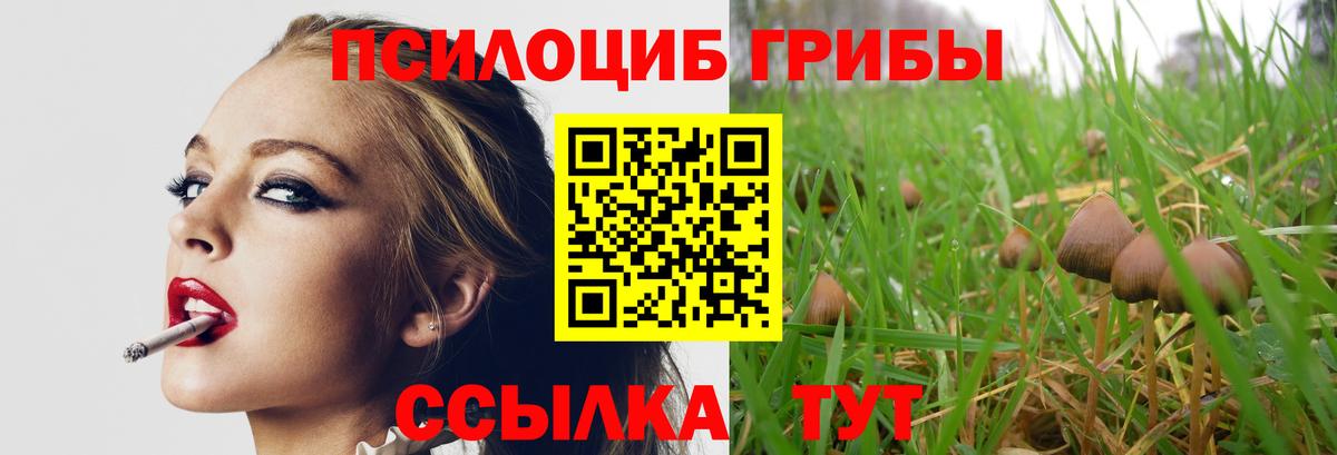 Псилоцибиновые грибы GOLDEN TEACHER Шарыпово